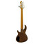 Aria Pro II 313-BB/5 Detroit Bourbon Barrel 5-string bass - Full back view