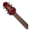 Danelectro Dan O. Mano dual P90 pickups close-up detail