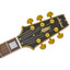 Aria PE350RR Tribute electric guitar pickups and bridge detail