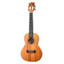 Twisted Wood RR-200T solid mahogany tenor ukulele hero view
