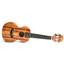 Twisted Wood KO-1000C concert ukulele alternate full view