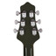 Danelectro G50GRN Golden 1950's Green electric guitar close-up detail
