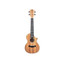 Twisted Wood EM-600C Ember concert ukulele alternate main view