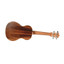 Twisted Wood AR-800S Aurora soprano ukulele alternate full view