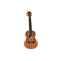 Twisted Wood AR-800C Aurora concert ukulele main listing view