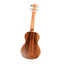 Twisted Wood AR-800C Aurora concert ukulele alternate full product view