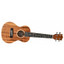 Twisted Wood AR-800C Aurora concert ukulele alternate full view