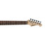 Aria TEG-002M-TTBK electric guitar additional detail view