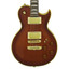 Aria PEF80-STBR Stained Brown electric guitar hero view