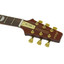 Aria PEF80-STBR Stained Brown electric guitar detail view