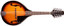 STAGG Violinburst Bluegrass Mandolin With Solid Spruce Top
