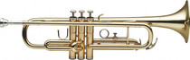 Stagg WS-TR215 Bb Trumpet W/abs Case Gold Lacquer W 1st Slide Saddle & 3rd Slide Ring 2 Year Warranty