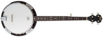 STAGG BJW24 DL 5-String Western Banjo with Mahogany Resonator and 24 Brackets