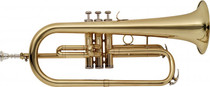 Stagg Bb Flugelhorn W/abs Case Gold Lacquer W 3rd Slide Ring Ws-fh215 2 Year Warranty