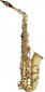 Stagg Eb Alto Saxophone With Hard Case W High F# Gold Lacquer Sax Ws-as215