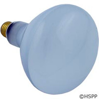 Halco Lighting Light Bulb, Flood Lamp, 400W, 120V - R40FL400/HG