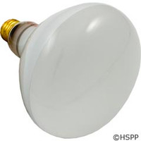 Halco Lighting Light Bulb, Flood Lamp, 500W, 120V - R40FL500/HG