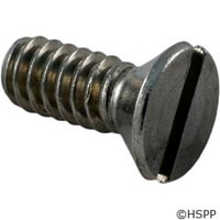 Hayward Pool Products Cover Retaining Screw - SPX1070Z3