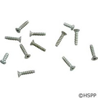 Hayward Pool Products Face Plate Screw Set - SPX1090Z1A