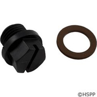 Hayward Pool Products Pipe Plug W/Gasket - SPX1700FGV