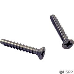 Hayward Pool Products Screws, Wgx1048E Sumps/Frames W/O Metal Inserts (Set Of 2) - SPX1030Z2A