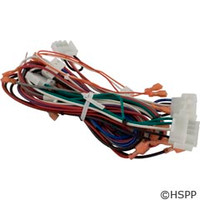 Hayward Pool Products Wiring Harness Kit Complete-Fd, Pre 2008 - FDXLWHA0001