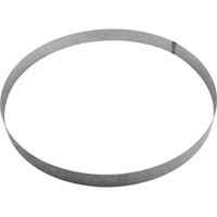Pentair Pool Products Back-Up Ring,Ss,Fns Plus - 195339
