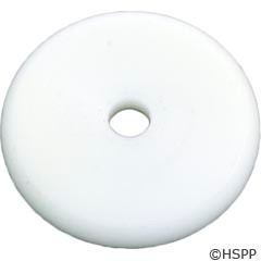 Pentair Pool Products Washer White Check 1 In. - 072471