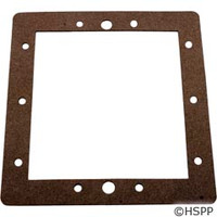 Pentair/Rainbow Gasket, Front Face Plate - R172471