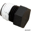 Pentair/Sta-Rite Pipe Plug 1/4" - WC78-40T
