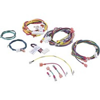Raypak Wire/Harness - 010347F