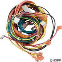 Raypak Wire/Harness Iid R185B-R405B - 009490F