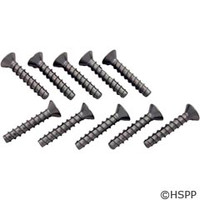 Hayward Pool Products Face Plate Screw Set 1-1/4" Long (Pkg Of 10) - SPX1030Z1C