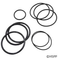 Zodiac/Jandy/Laars O-Ring Replacement Kit (Not Shown) - R0358000