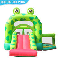 Frog Inflatable Bounce House with 350W Air Blower 