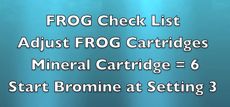 Start Frog Bromine Mineral System