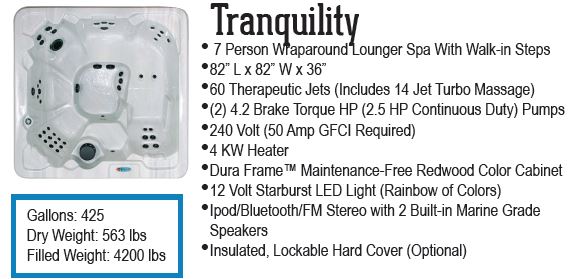 Tranquility QCA Spas hot tub with 60 jets and 2 pumps.