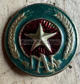 v090 - old type Vietnamese State Security forces cap badge from the 1980s