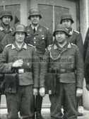 aa598 - Luftwaffe officer & NCO's with Stahlhelm & badges & shooting lanyard - unit plaque on wall