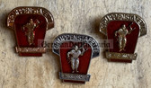 gw374 - East German Feuerwehr Fire Service competition winner - complete set