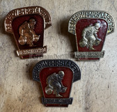 gw376 - East German Feuerwehr Fire Service competition winner - complete set