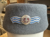 wo422 - East German Wasserwirtschaft Water Management Female junior officer pill hat - size 54