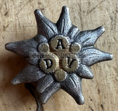 ac849 - German DAV Alpine Skiing & Mountaineering Edelweiss club - badge