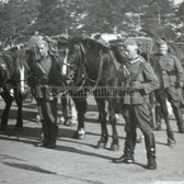 wpc075 - Wehrmacht mounted unit with horses and weapons