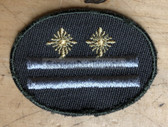 sbutvc026 - FELDDIENST UTV OBERSTLEUTNANT - cap insignia - all branches of the army and border guards