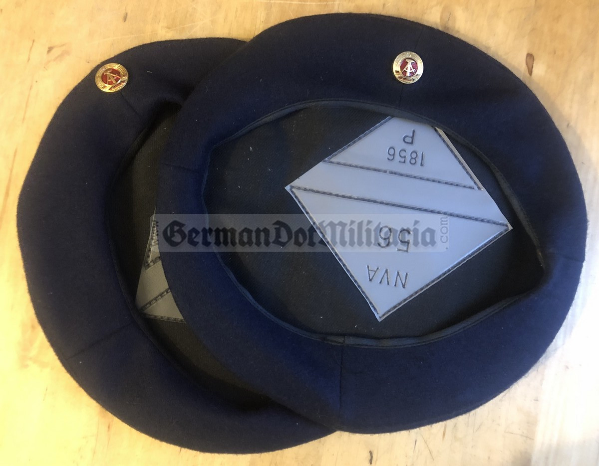 wo611 - blue Donald Duck Hat tops for 