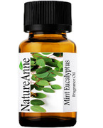 Mint Eucalyptus & Spearmint Premium Grade Fragrance Oil - 10ml 