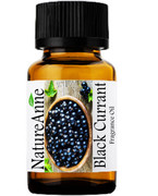 Black Currant Premium Grade Fragrance Oil  - 10ml 