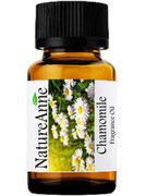 Chamomile Premium Grade Fragrance Oil  - 10ml 