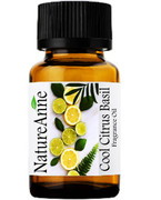 Cool citrus Basil Premium Grade Fragrance Oil  - 10ml .
